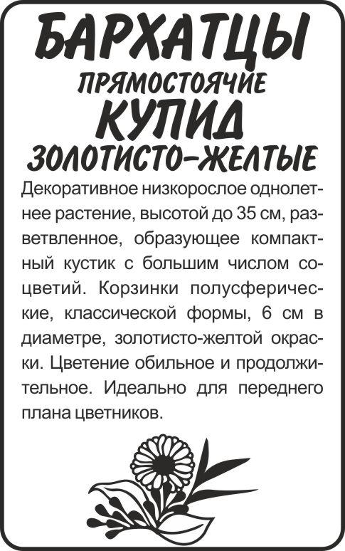 00-00018477.jpg