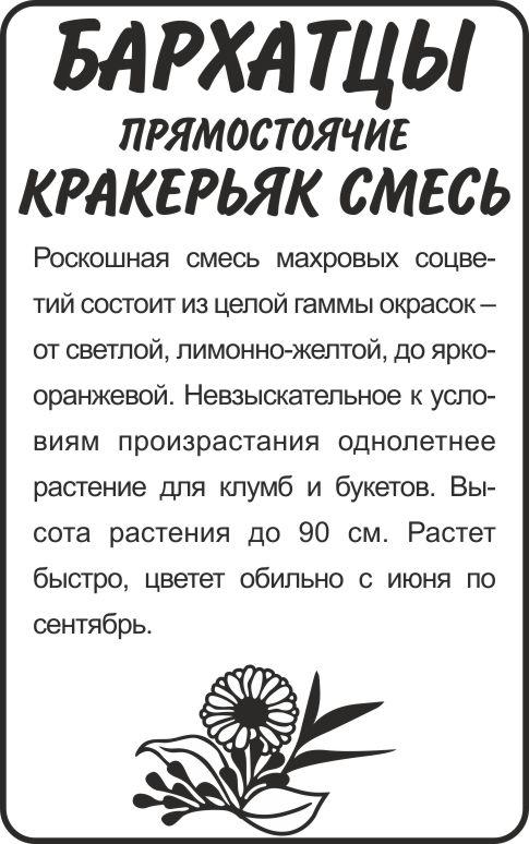 00-00018481.jpg