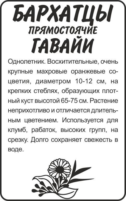 00-00018482.jpg