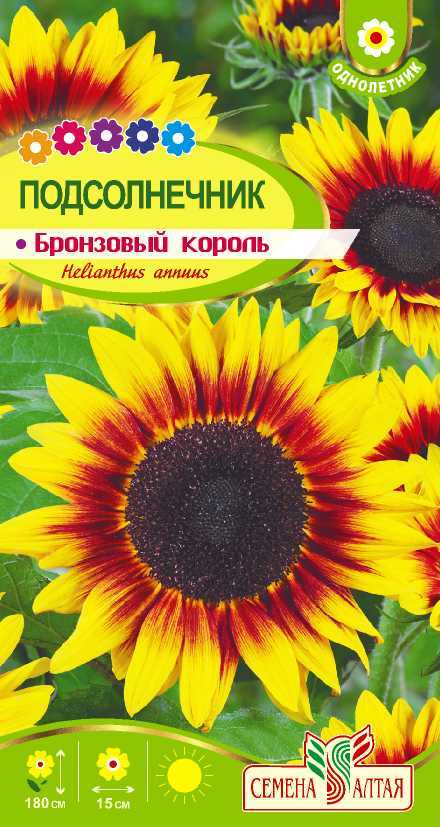 00010040359.jpg