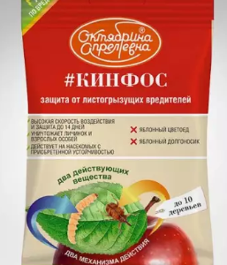 кинфос