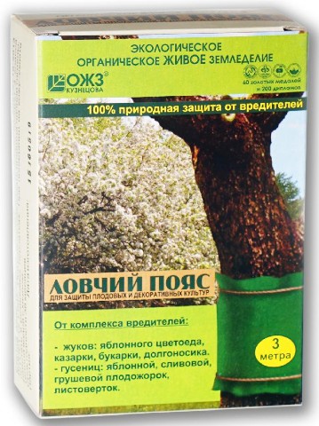 Скриншот 11-03-2024 152406